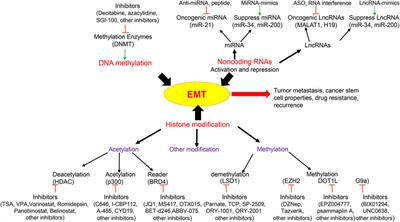 Tackle Epithelial-Mesenchymal Transition With Epigenetic Drugs in Cancer